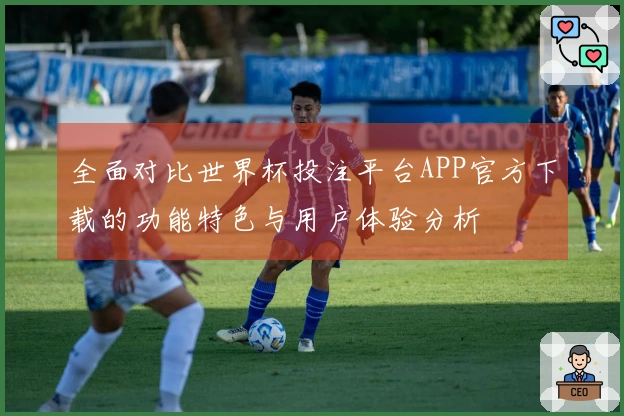 全面对比世界杯投注平台APP官方下载的功能特色与用户体验分析