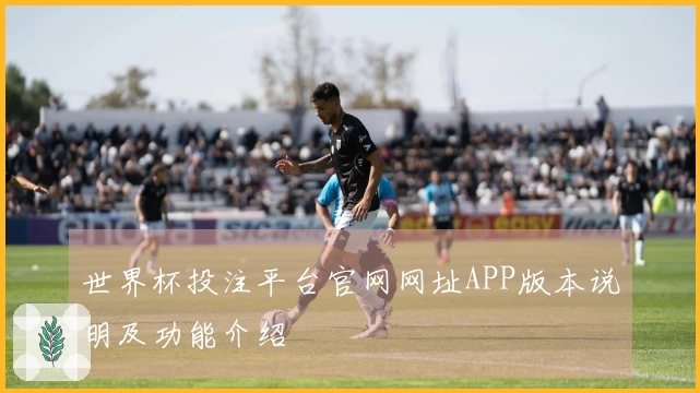 世界杯投注平台官网网址APP版本说明及功能介绍