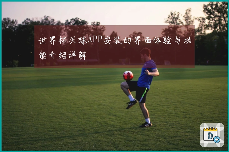 世界杯买球APP安装的界面体验与功能介绍详解