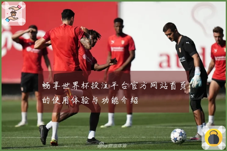 畅享世界杯投注平台官方网站首页的使用体验与功能介绍