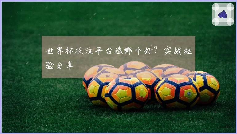 世界杯投注平台选哪个好？实战经验分享