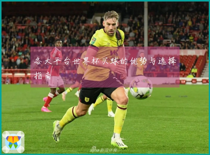 各大平台世界杯买球的优势与选择指南