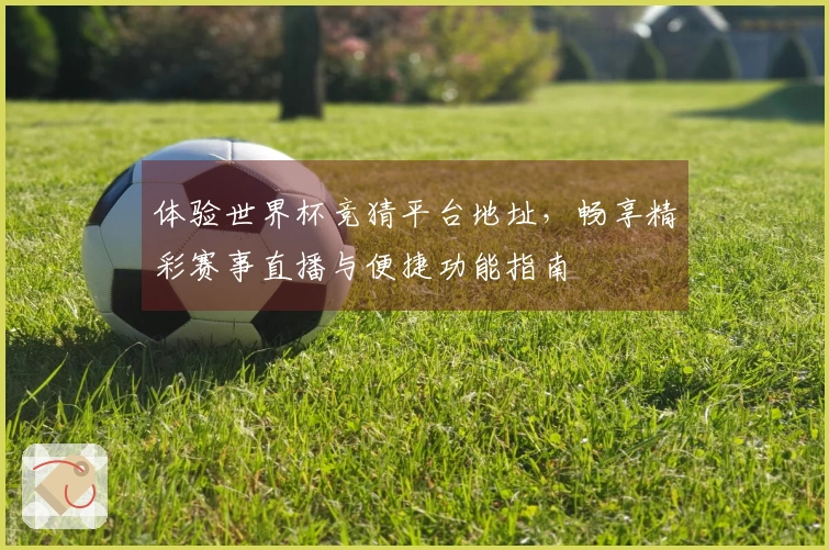 体验世界杯竞猜平台地址，畅享精彩赛事直播与便捷功能指南
