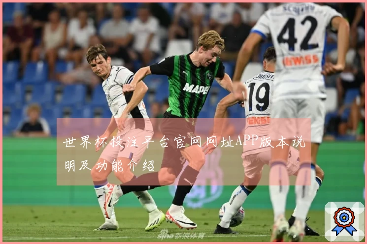 世界杯投注平台官网网址APP版本说明及功能介绍