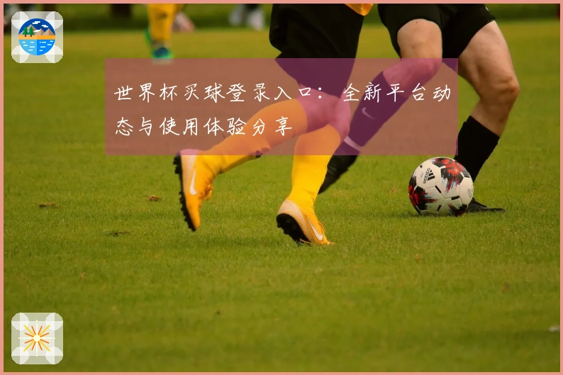 世界杯买球登录入口：全新平台动态与使用体验分享