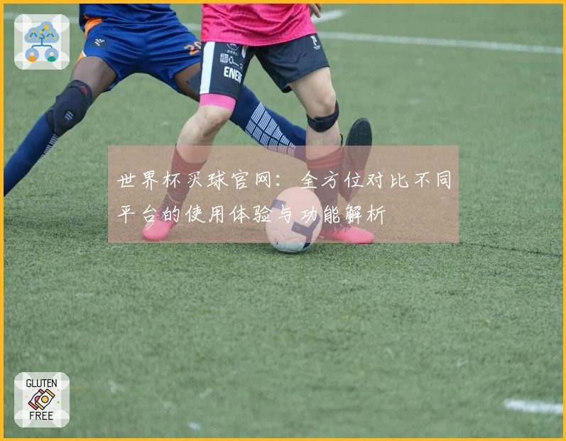世界杯买球官网：全方位对比不同平台的使用体验与功能解析