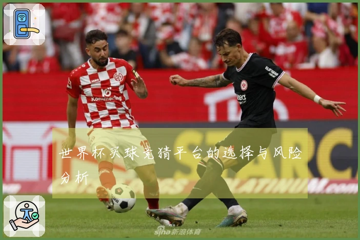 世界杯买球竞猜平台的选择与风险分析