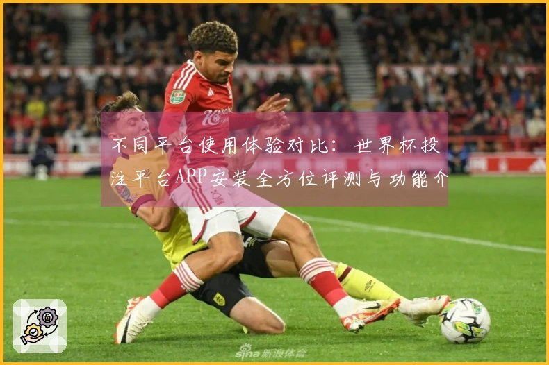 不同平台使用体验对比：世界杯投注平台APP安装全方位评测与功能介绍