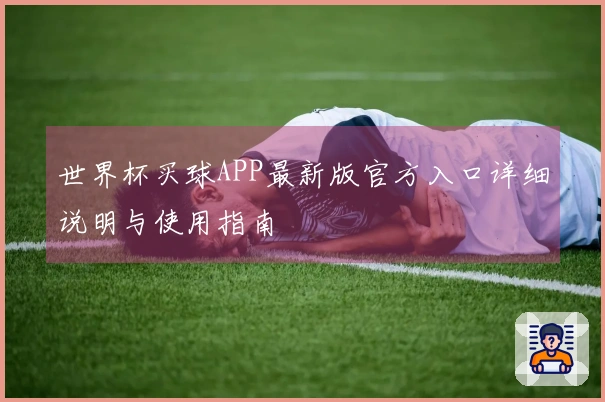 世界杯买球APP最新版官方入口详细说明与使用指南