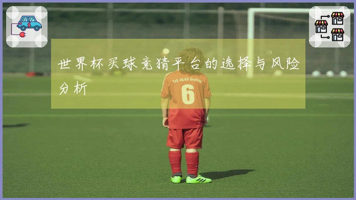 世界杯买球竞猜平台的选择与风险分析