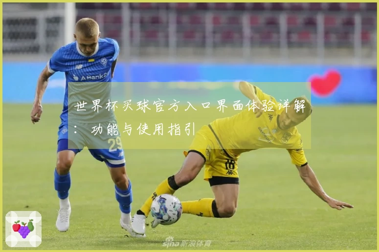 世界杯买球官方入口界面体验详解：功能与使用指引