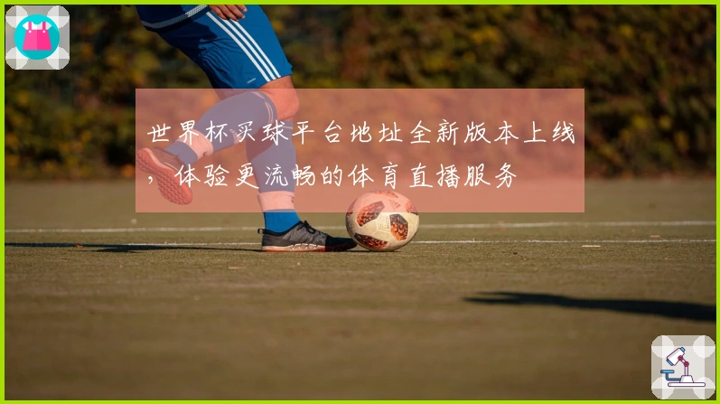 世界杯买球平台地址全新版本上线，体验更流畅的体育直播服务