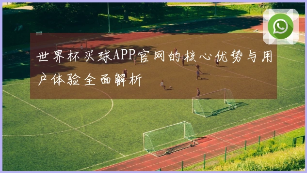 世界杯买球APP官网的核心优势与用户体验全面解析